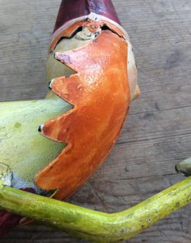 Preview: Gartenstecker Fliegender Nikolaus mit Stern aus bemaltem Blech